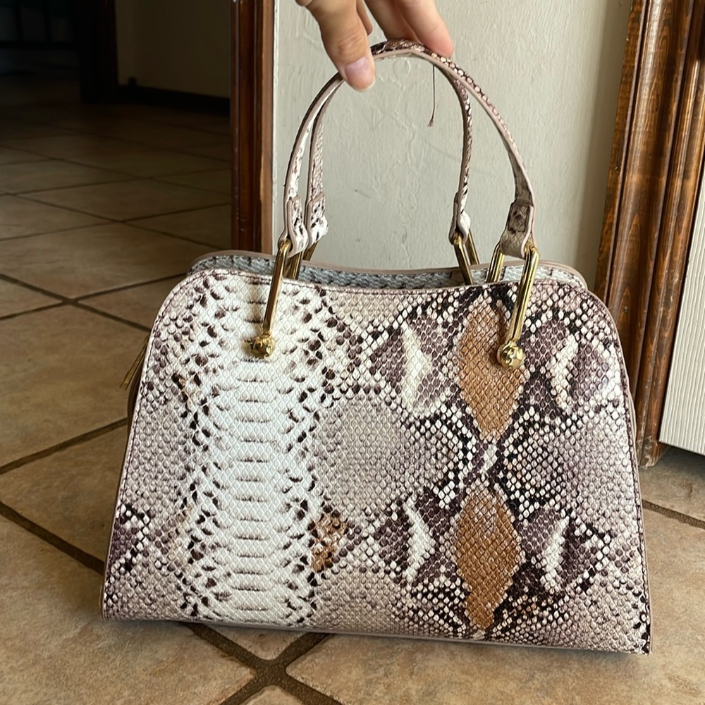 Snake Print Purse